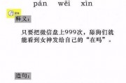 网络词吃瓜群众是什么意思,网络热词背后的社会现象
